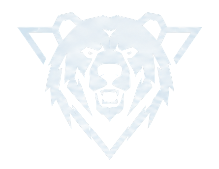 НСУ Медведь